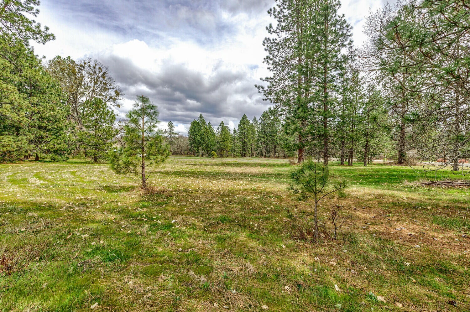 2925_Jerome_Prairie_Rd_18