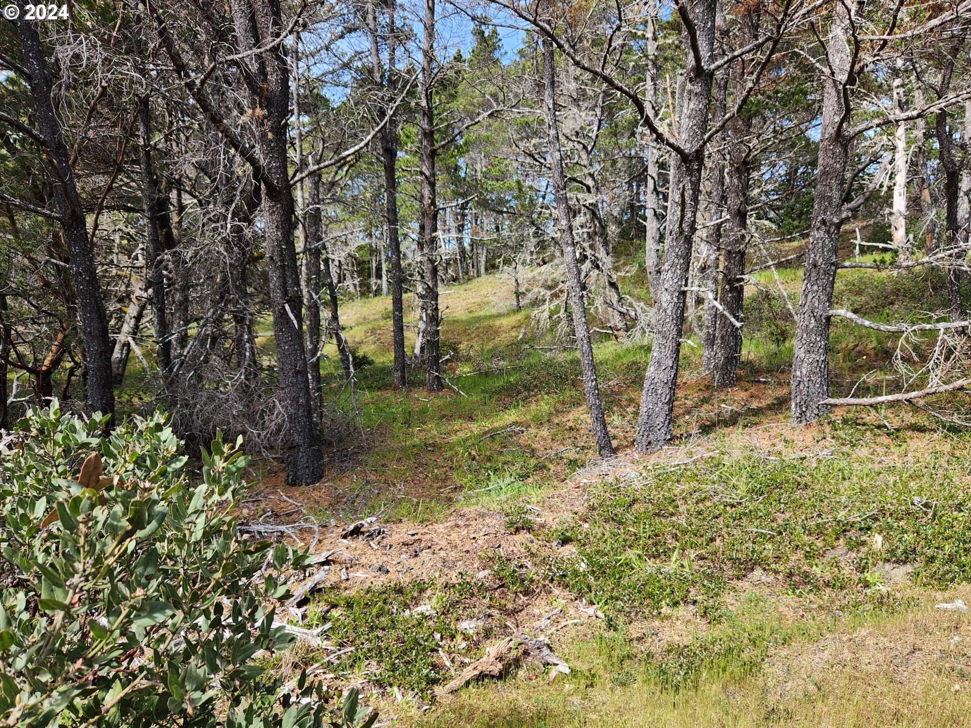 7acs_Carpenterville_Rd_00_28_5