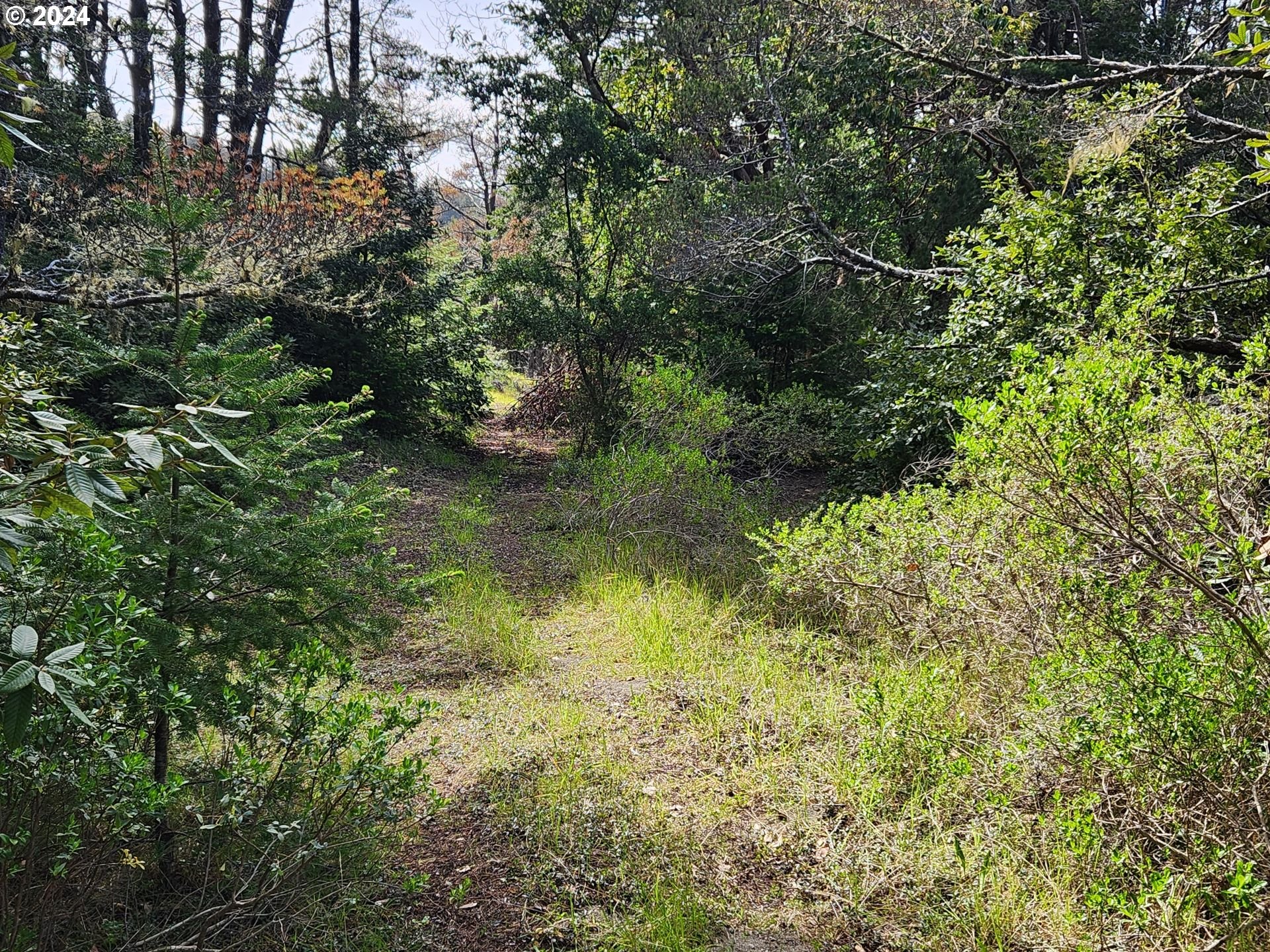 7acs_Carpenterville_Rd_05