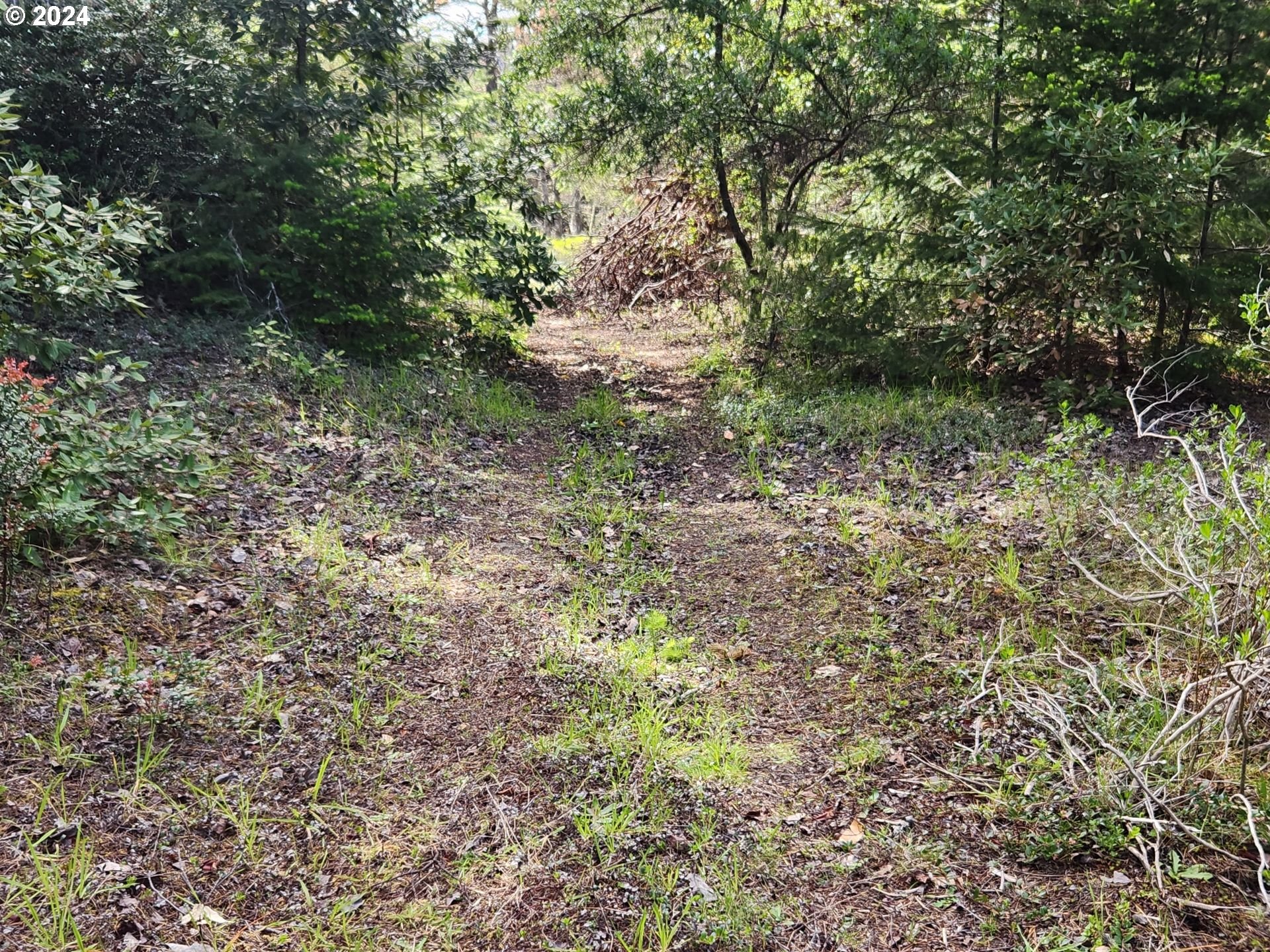 7acs_Carpenterville_Rd_07