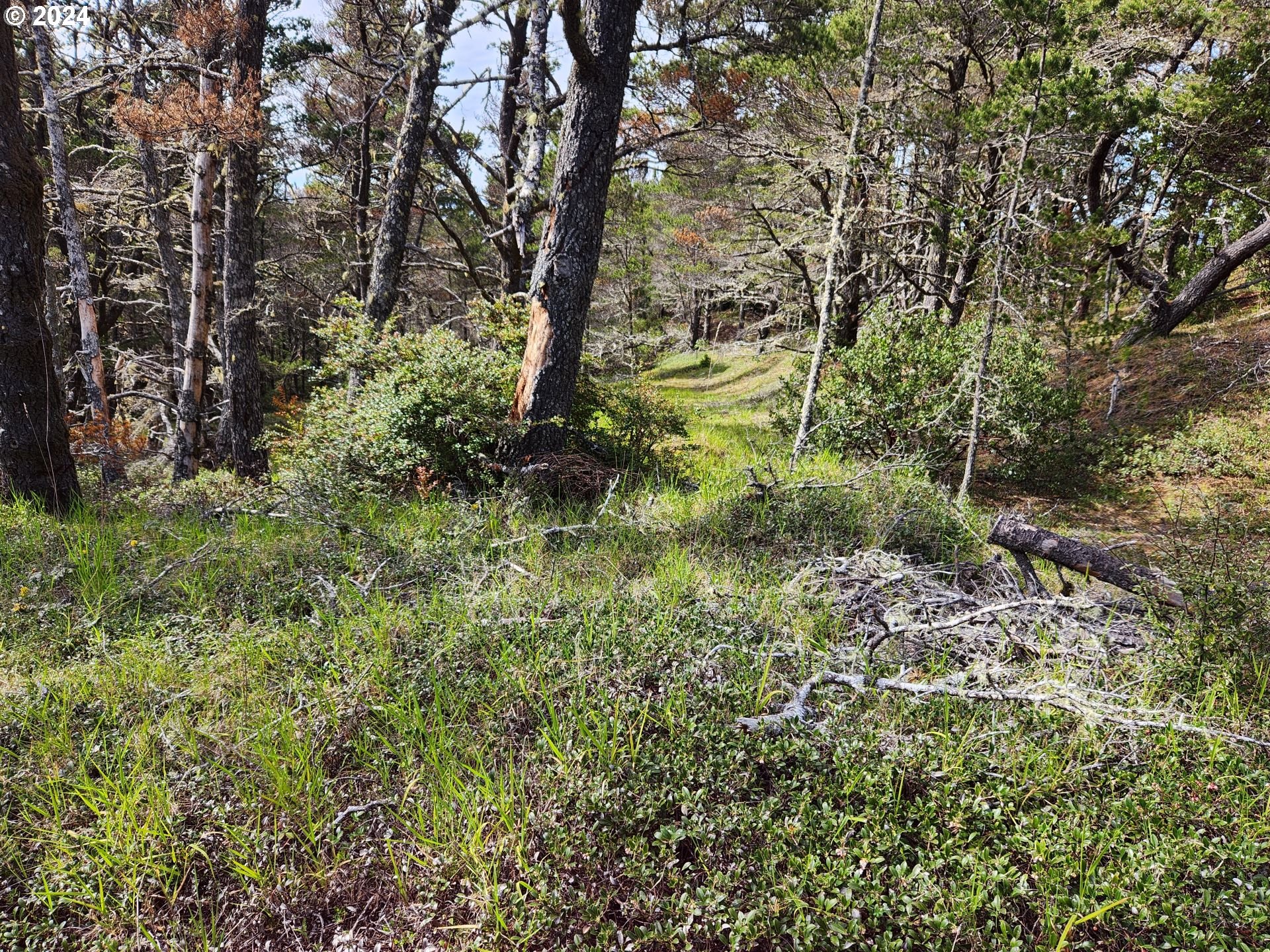 7acs_Carpenterville_Rd_08