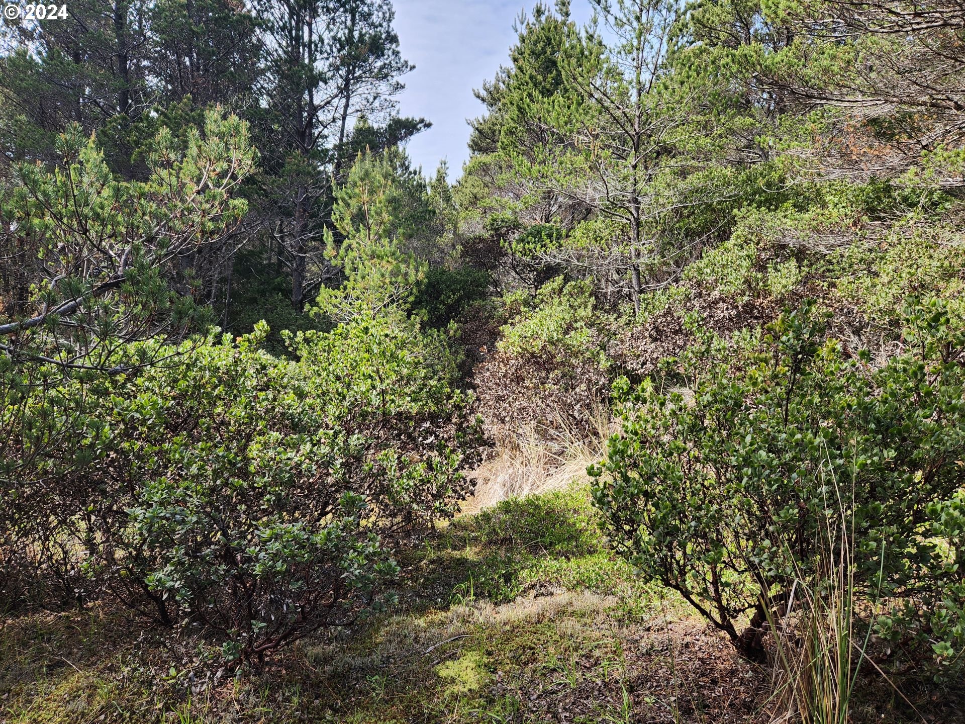 7acs_Carpenterville_Rd_10