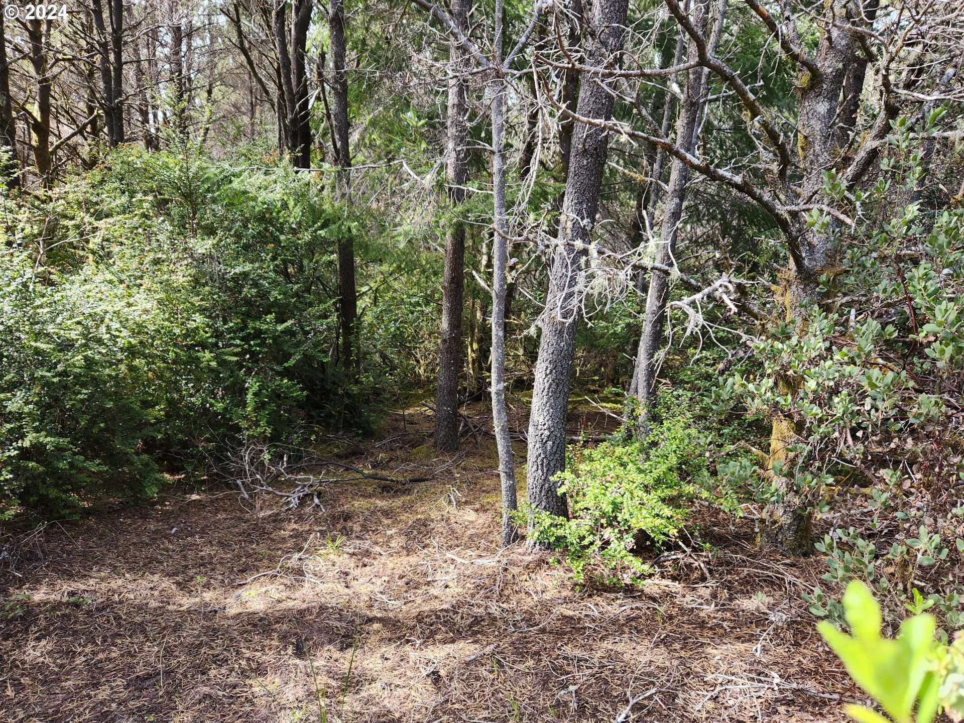 7acs_Carpenterville_Rd_13