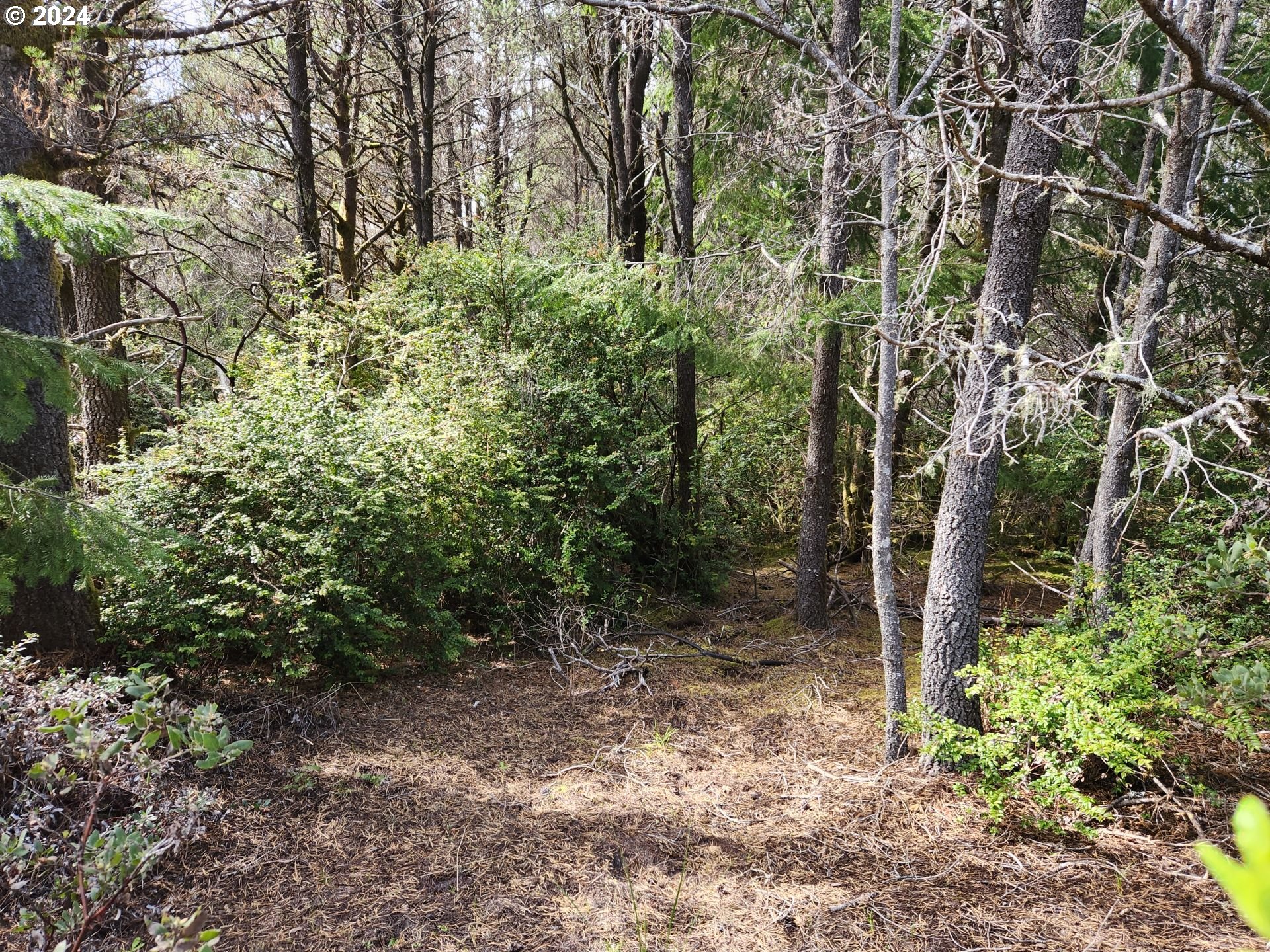 7acs_Carpenterville_Rd_14