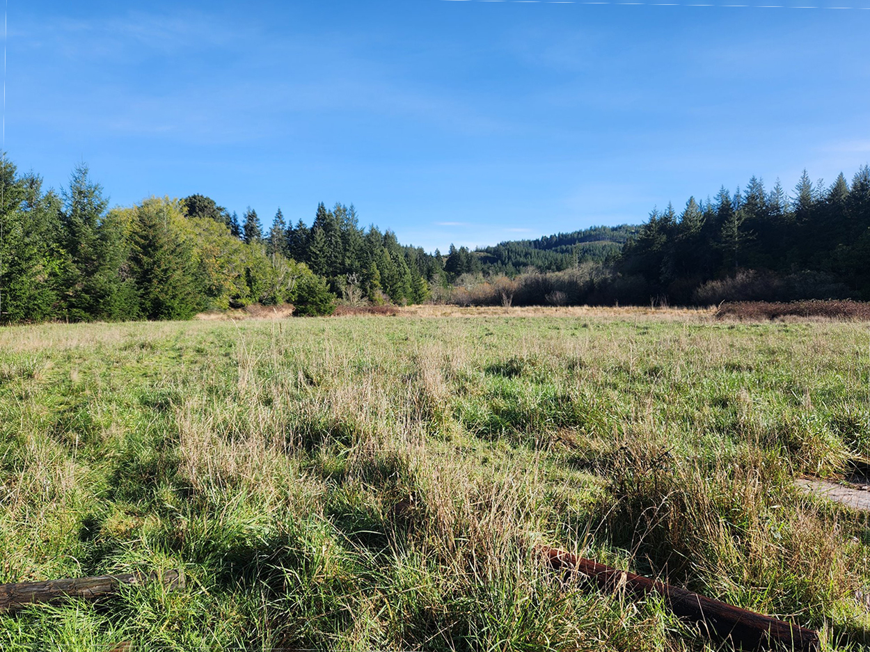 95664-JERRYS-FLAT-RD_27