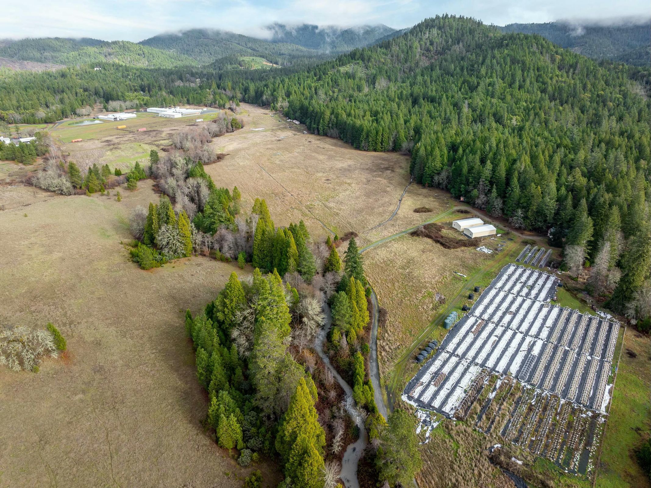 1491_Draper_Valley_Rd_05