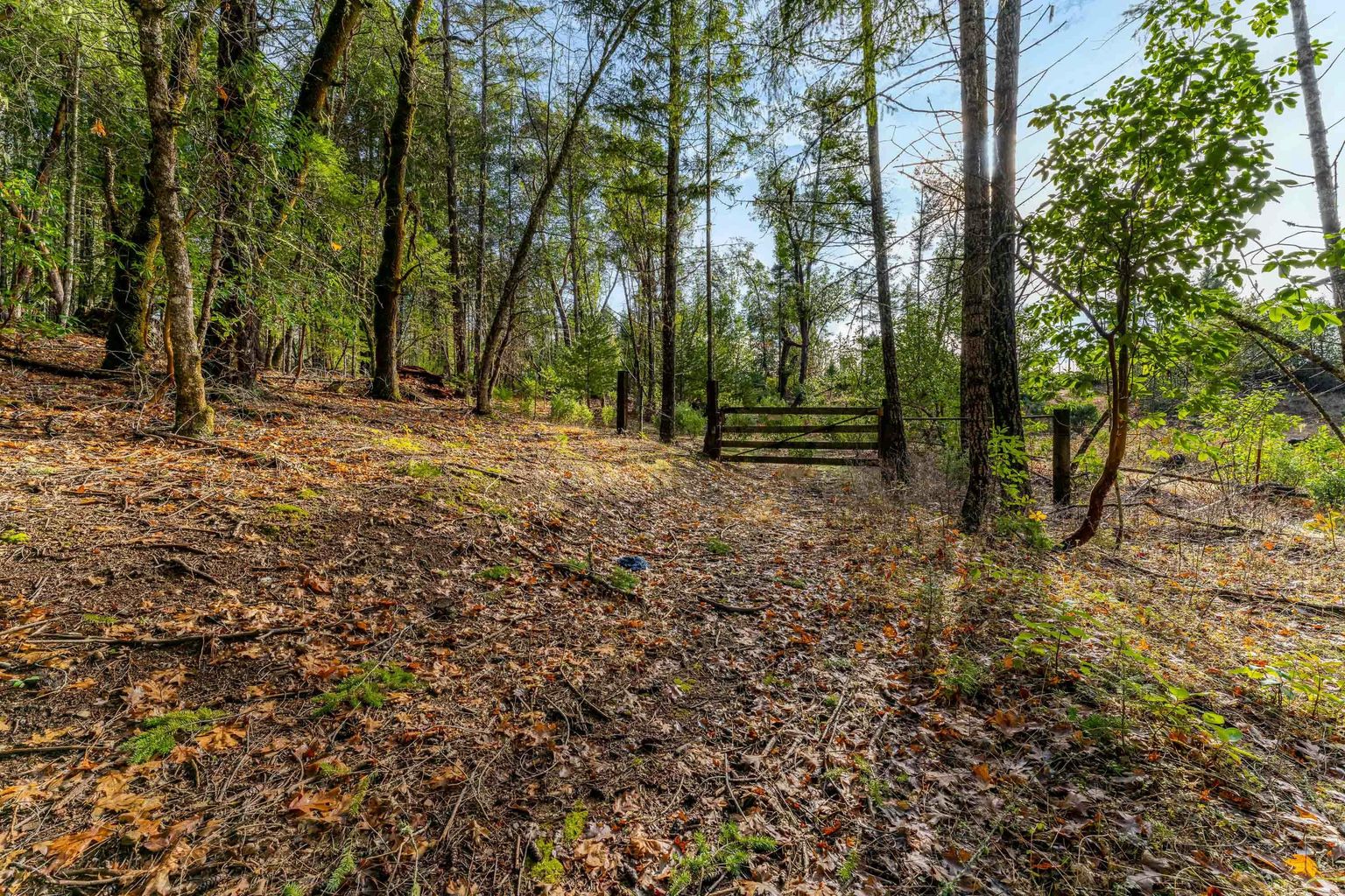 1491_Draper_Valley_Rd_20