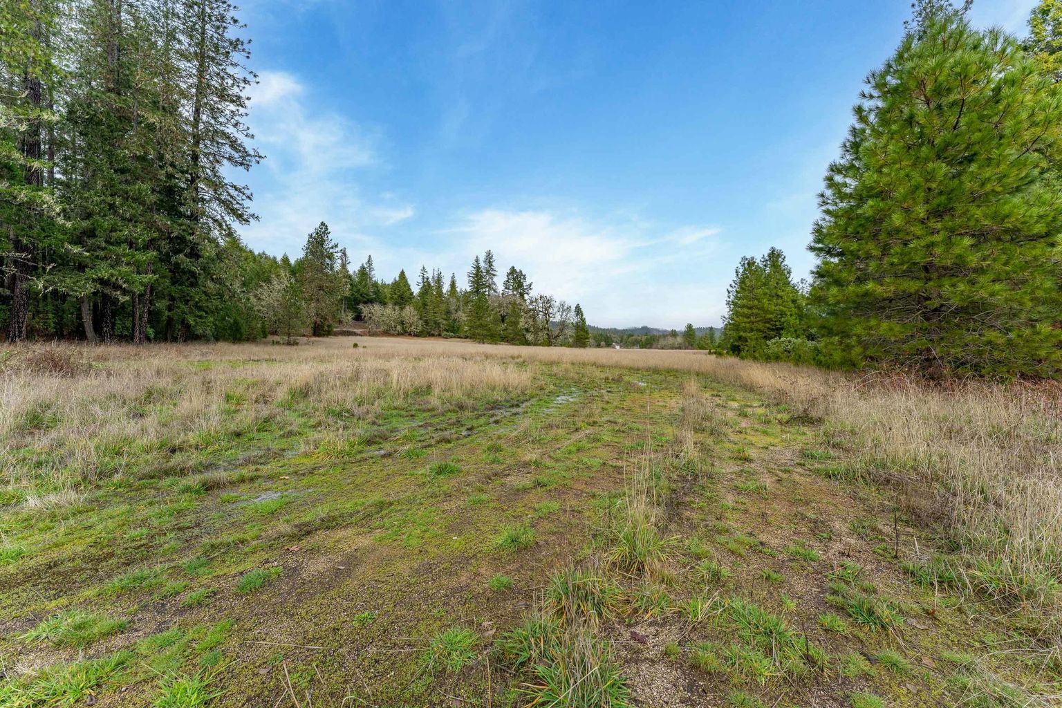 1491_Draper_Valley_Rd_29