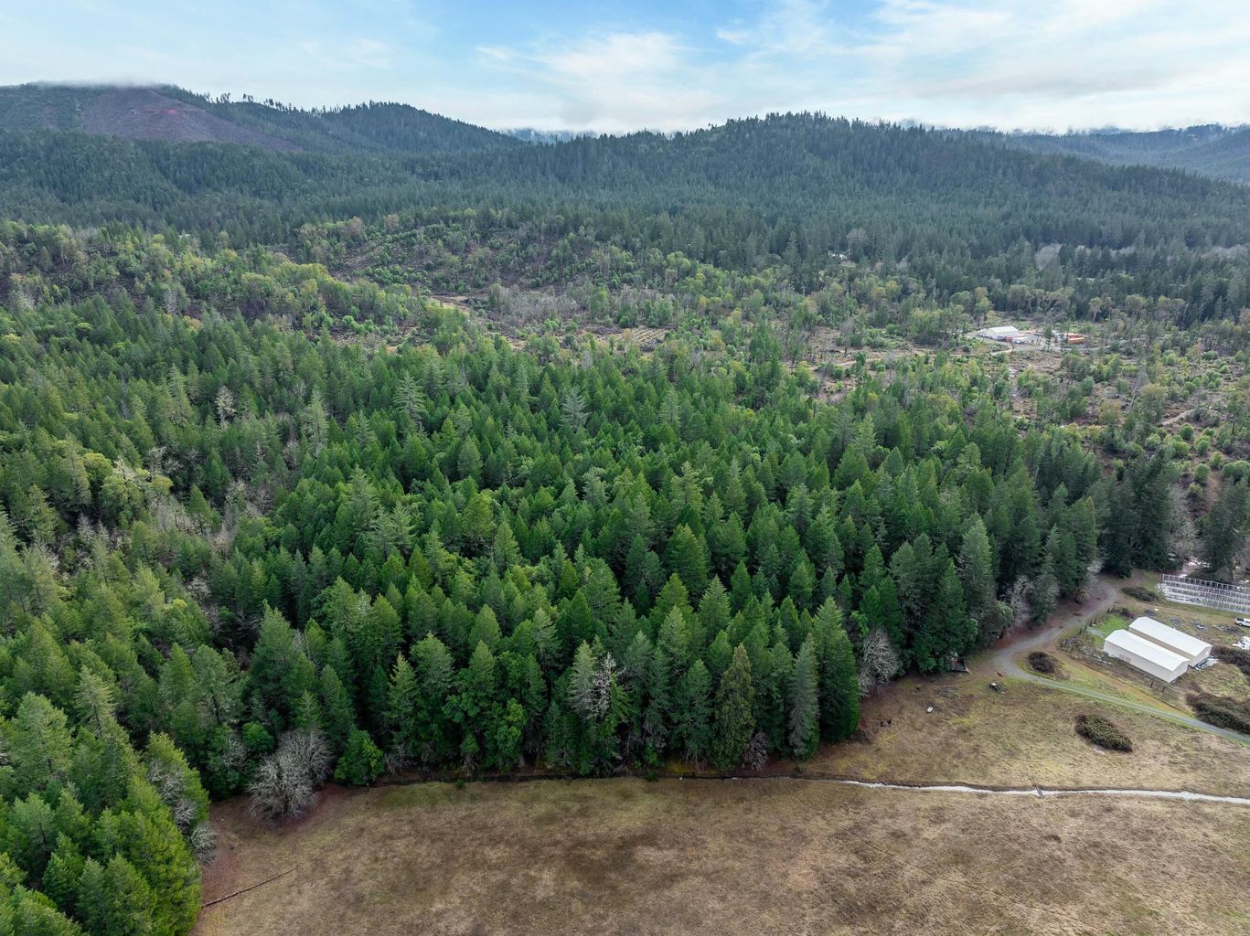 1491_Draper_Valley_Rd_32