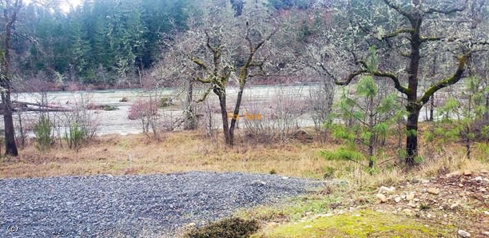 220158096, 297 Pomeroy View Dr, Cave Junction, OR 97523