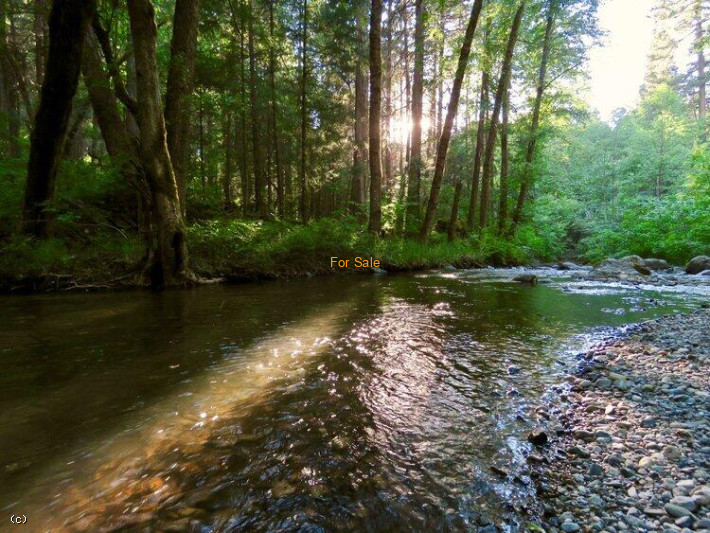 220159292, 10000 Little Applegate Rd, Jacksonville, OR 97530, #220159292