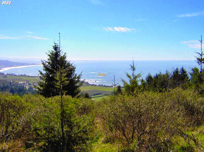20422543, Harbor Hills Hts, Brookings, OR 97415, #20422543